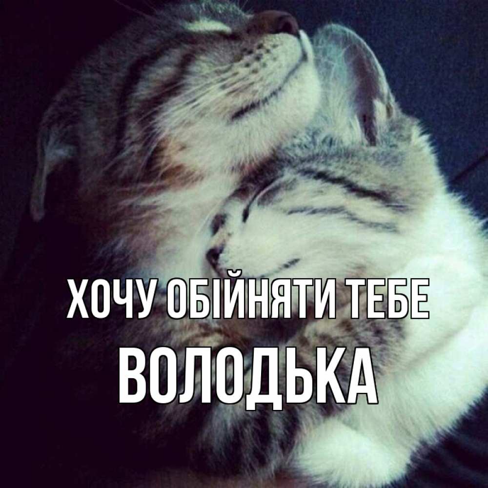 Открытка на каждый день з підписом, Володька Хочу обійняти тебе полосатики Прикольна листівка з побажанням онлайн скачати безкоштовно 