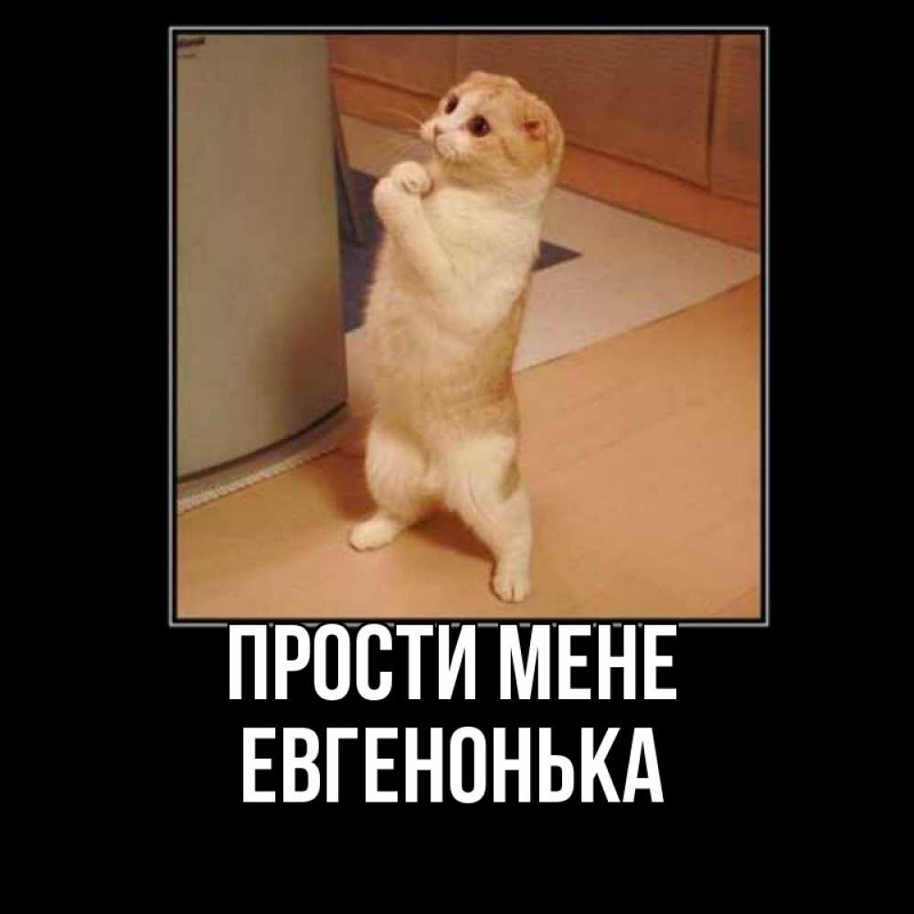 Открытка на каждый день з підписом, Евгенонька Прости мене открытка с милым несчастным котиком просящим прощения Прикольна листівка з побажанням онлайн скачати безкоштовно 