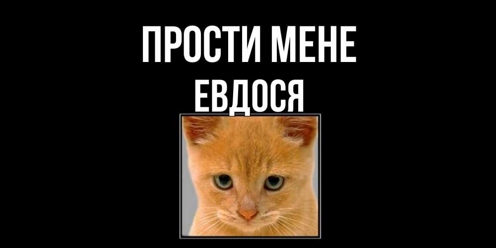 Открытка на каждый день з підписом, Евдося Прости мене рыжий грустный кот просит прощения Прикольна листівка з побажанням онлайн скачати безкоштовно 