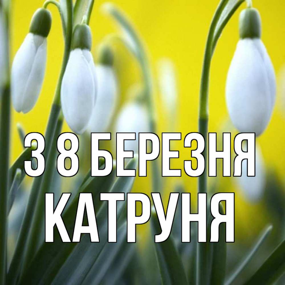 Открытка на каждый день з підписом, Катруня З 8 БЕРЕЗНЯ весенние цветы Прикольна листівка з побажанням онлайн скачати безкоштовно 