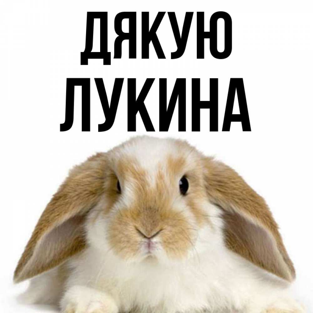 Открытка на каждый день з підписом, Лукина Дякую коричнево белый заяц Прикольна листівка з побажанням онлайн скачати безкоштовно 