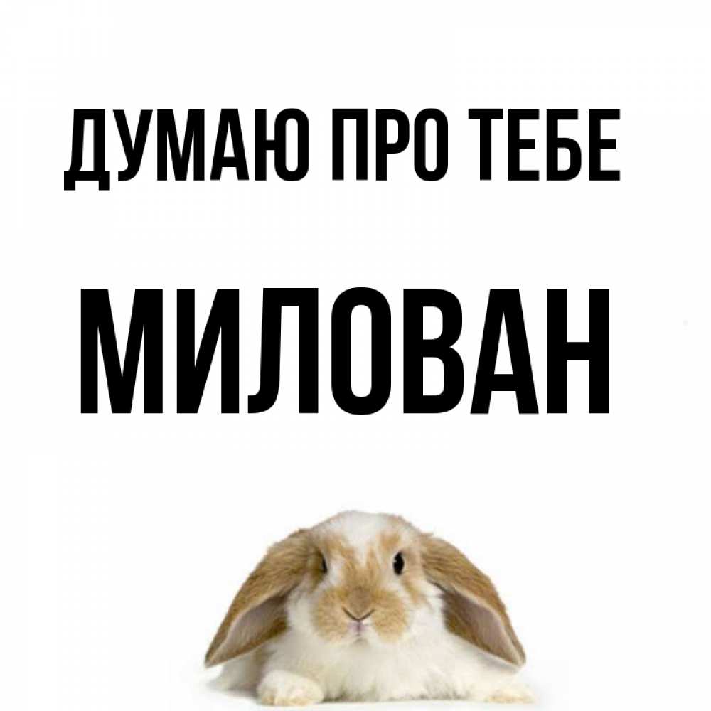 Открытка на каждый день з підписом, Милован Думаю про тебе подписать своими руками онлайн Прикольна листівка з побажанням онлайн скачати безкоштовно 