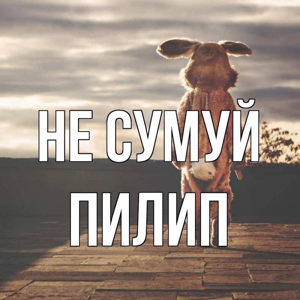 Открытка на каждый день з підписом, Пилип Не сумуй со спины Прикольна листівка з побажанням онлайн скачати безкоштовно 