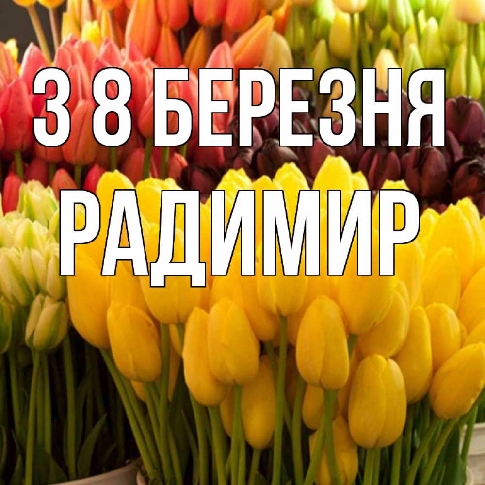 Открытка на каждый день з підписом, Радимир З 8 БЕРЕЗНЯ цветы Прикольна листівка з побажанням онлайн скачати безкоштовно 