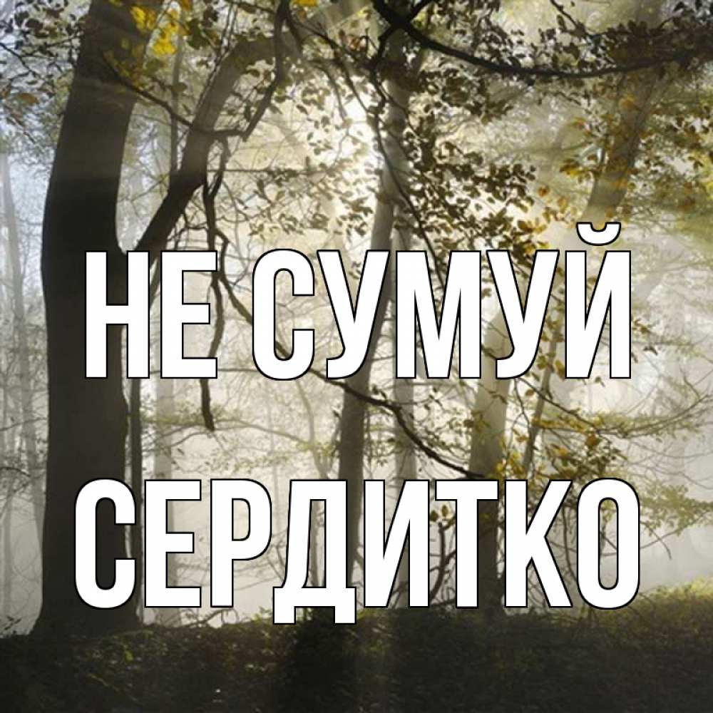 Открытка на каждый день з підписом, Сердитко Не сумуй лес и свет Прикольна листівка з побажанням онлайн скачати безкоштовно 