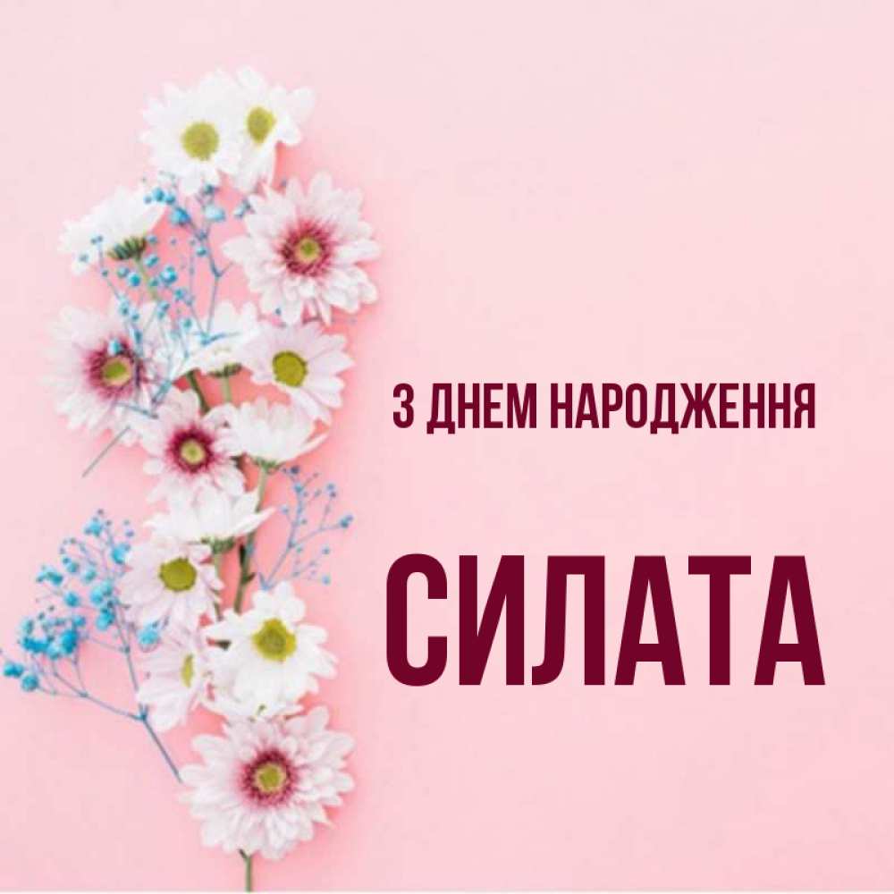 Открытка на каждый день з підписом, Силата З Днем народження Родная моя с днем рождения тебя картинка с цветами белыми и голубыми Прикольна листівка з побажанням онлайн скачати безкоштовно 