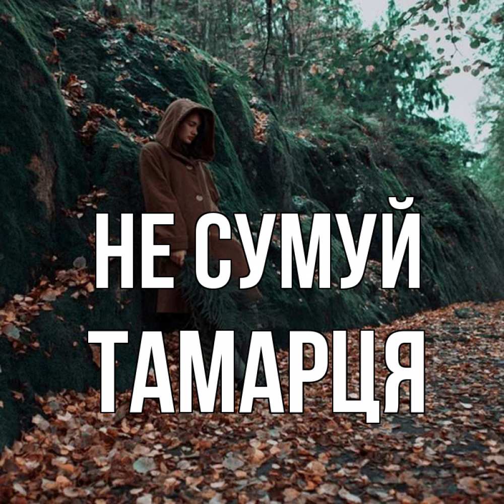 Открытка на каждый день з підписом, Тамарця Не сумуй осенний лес Прикольна листівка з побажанням онлайн скачати безкоштовно 