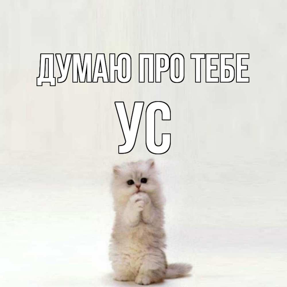 Открытка на каждый день з підписом, Ус Думаю про тебе кот стоит на задних лапах Прикольна листівка з побажанням онлайн скачати безкоштовно 
