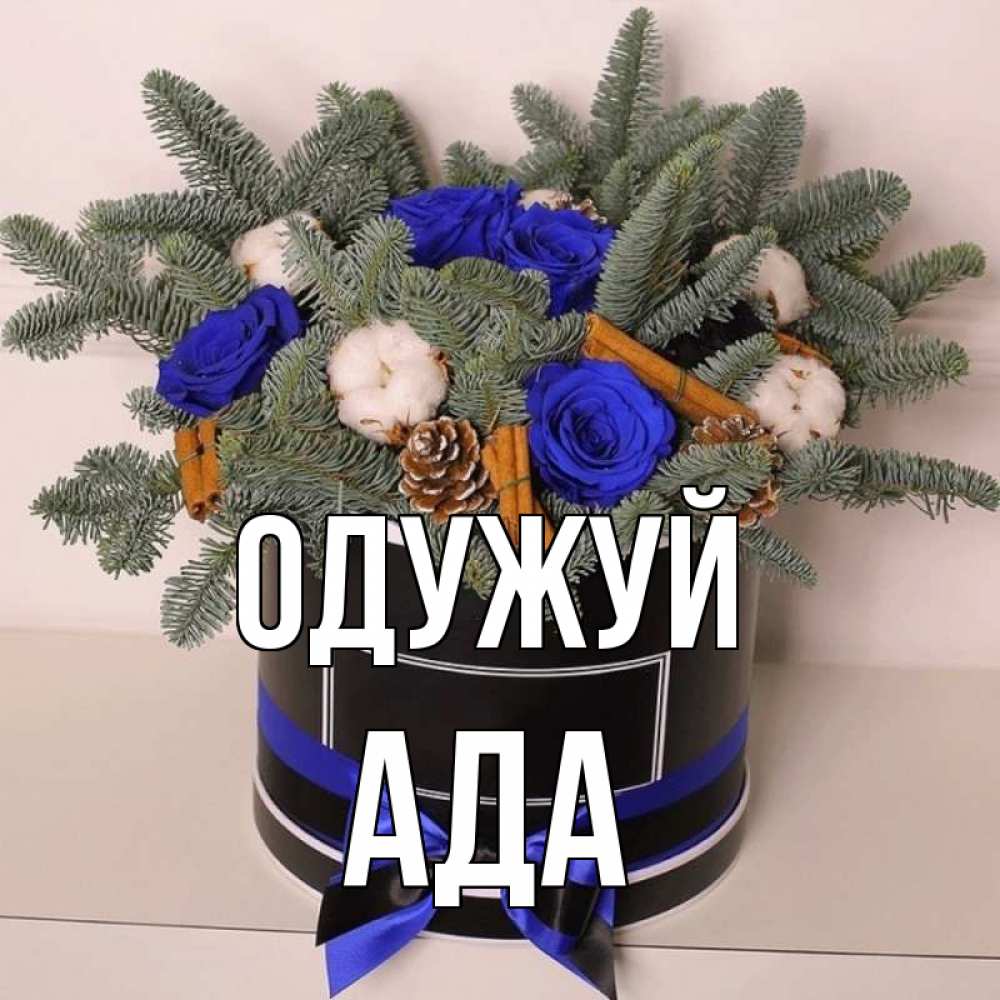 Открытка на каждый день з підписом, Ада Одужуй короче кто то загрузил эти шишки Прикольна листівка з побажанням онлайн скачати безкоштовно 