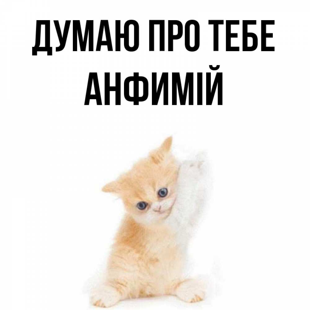 Открытка на каждый день з підписом, Анфимій Думаю про тебе зверушки и милота Прикольна листівка з побажанням онлайн скачати безкоштовно 