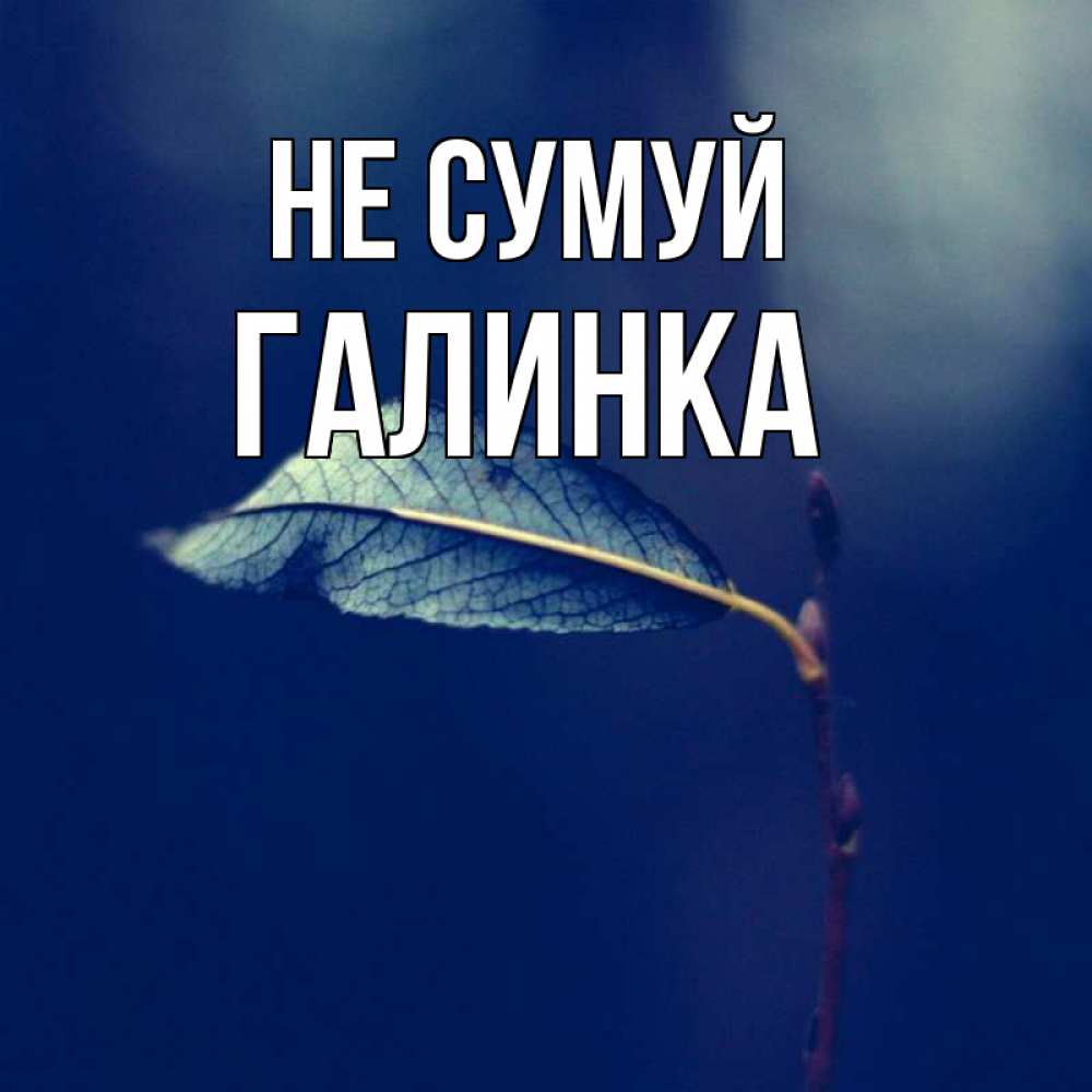 Открытка на каждый день з підписом, Галинка Не сумуй растение Прикольна листівка з побажанням онлайн скачати безкоштовно 