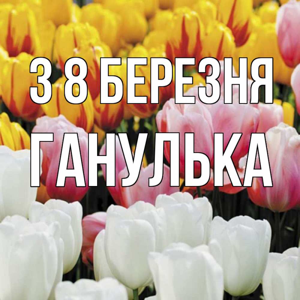 Открытка на каждый день з підписом, Ганулька З 8 БЕРЕЗНЯ разноцветные цветы Прикольна листівка з побажанням онлайн скачати безкоштовно 