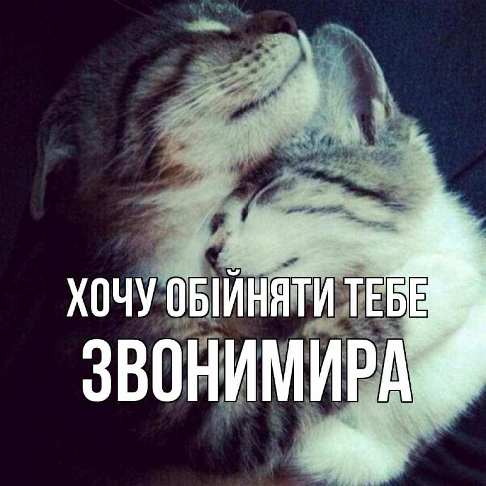 Открытка на каждый день з підписом, Звонимира Хочу обійняти тебе полосатики Прикольна листівка з побажанням онлайн скачати безкоштовно 