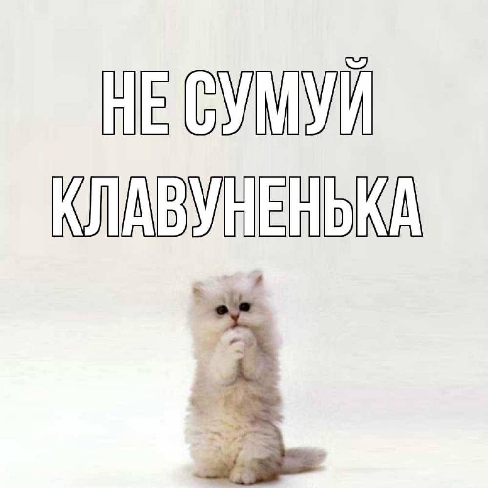 Открытка на каждый день з підписом, Клавуненька Не сумуй грустный кот Прикольна листівка з побажанням онлайн скачати безкоштовно 