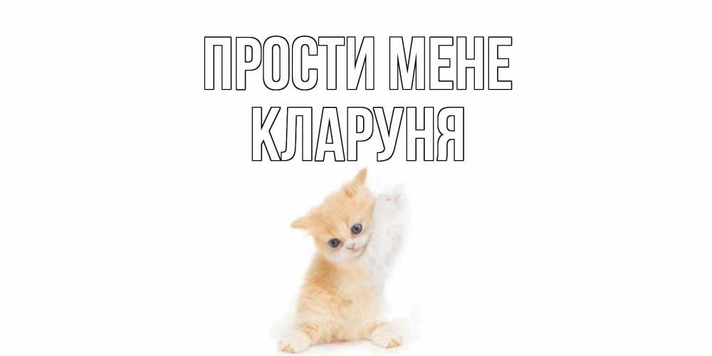 Открытка на каждый день з підписом, Кларуня Прости мене кот Прикольна листівка з побажанням онлайн скачати безкоштовно 