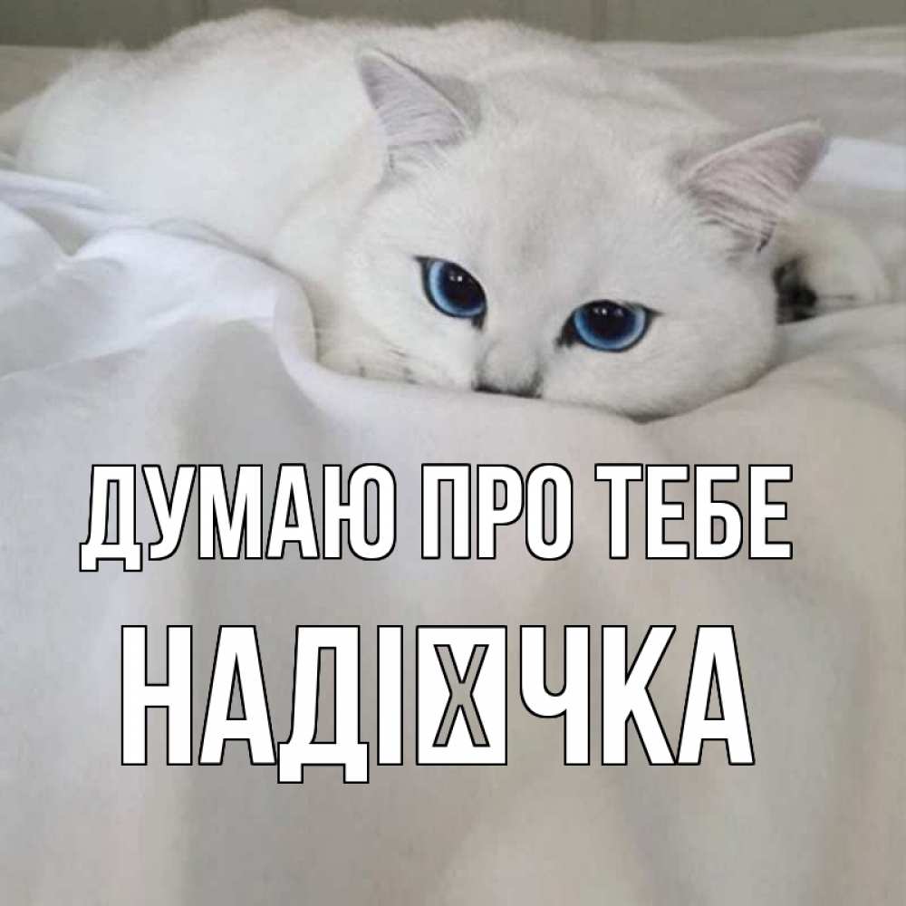 Открытка на каждый день з підписом, Надієчка Думаю про тебе я очень по тебе скучаю и тоскую Прикольна листівка з побажанням онлайн скачати безкоштовно 