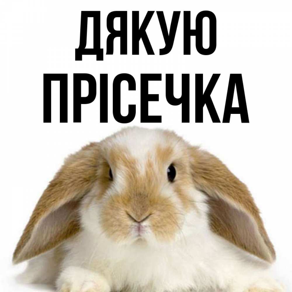 Открытка на каждый день з підписом, Прісечка Дякую коричнево белый заяц Прикольна листівка з побажанням онлайн скачати безкоштовно 