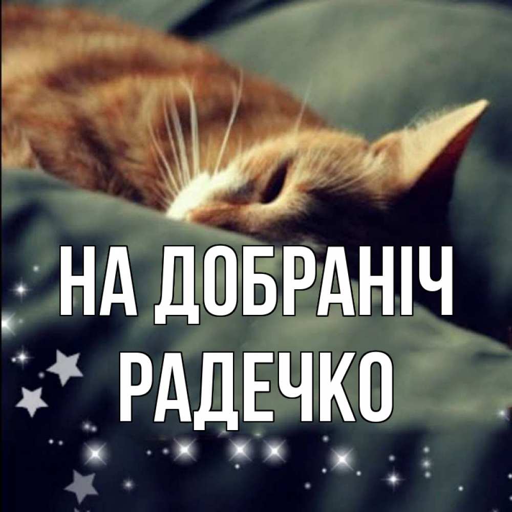 Открытка на каждый день з підписом, Радечко На добраніч кроватка Прикольна листівка з побажанням онлайн скачати безкоштовно 
