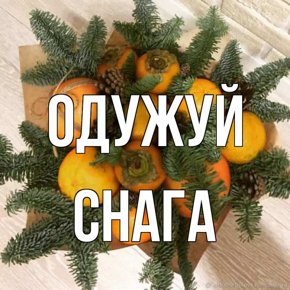 Открытка на каждый день з підписом, Снага Одужуй апельсины и хурьма Прикольна листівка з побажанням онлайн скачати безкоштовно 