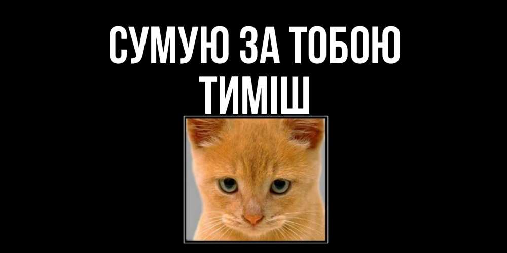Открытка на каждый день з підписом, Тиміш Сумую за тобою открытки рыжий котенок скучает по тебе Прикольна листівка з побажанням онлайн скачати безкоштовно 
