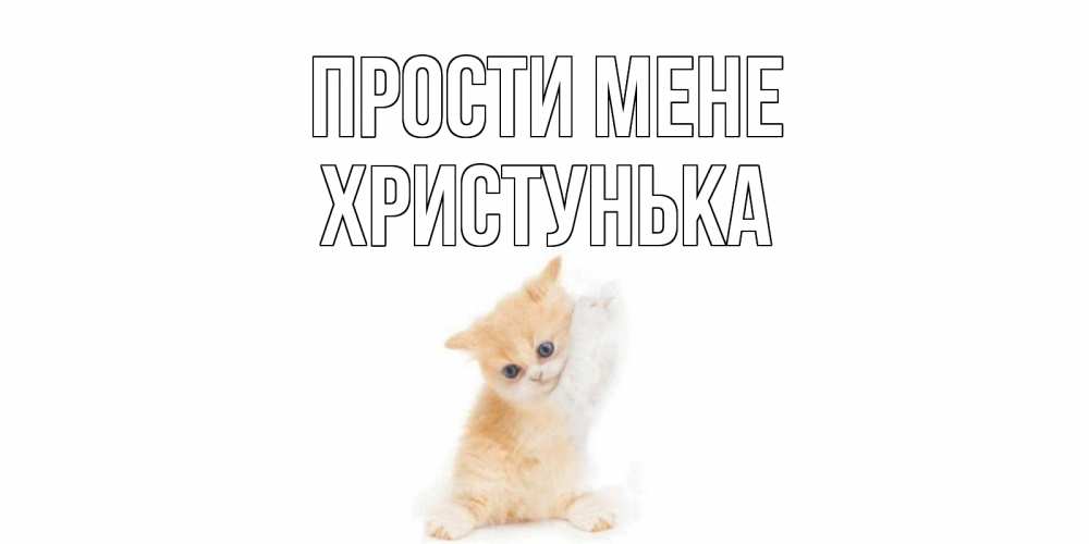 Открытка на каждый день з підписом, Христунька Прости мене кот Прикольна листівка з побажанням онлайн скачати безкоштовно 