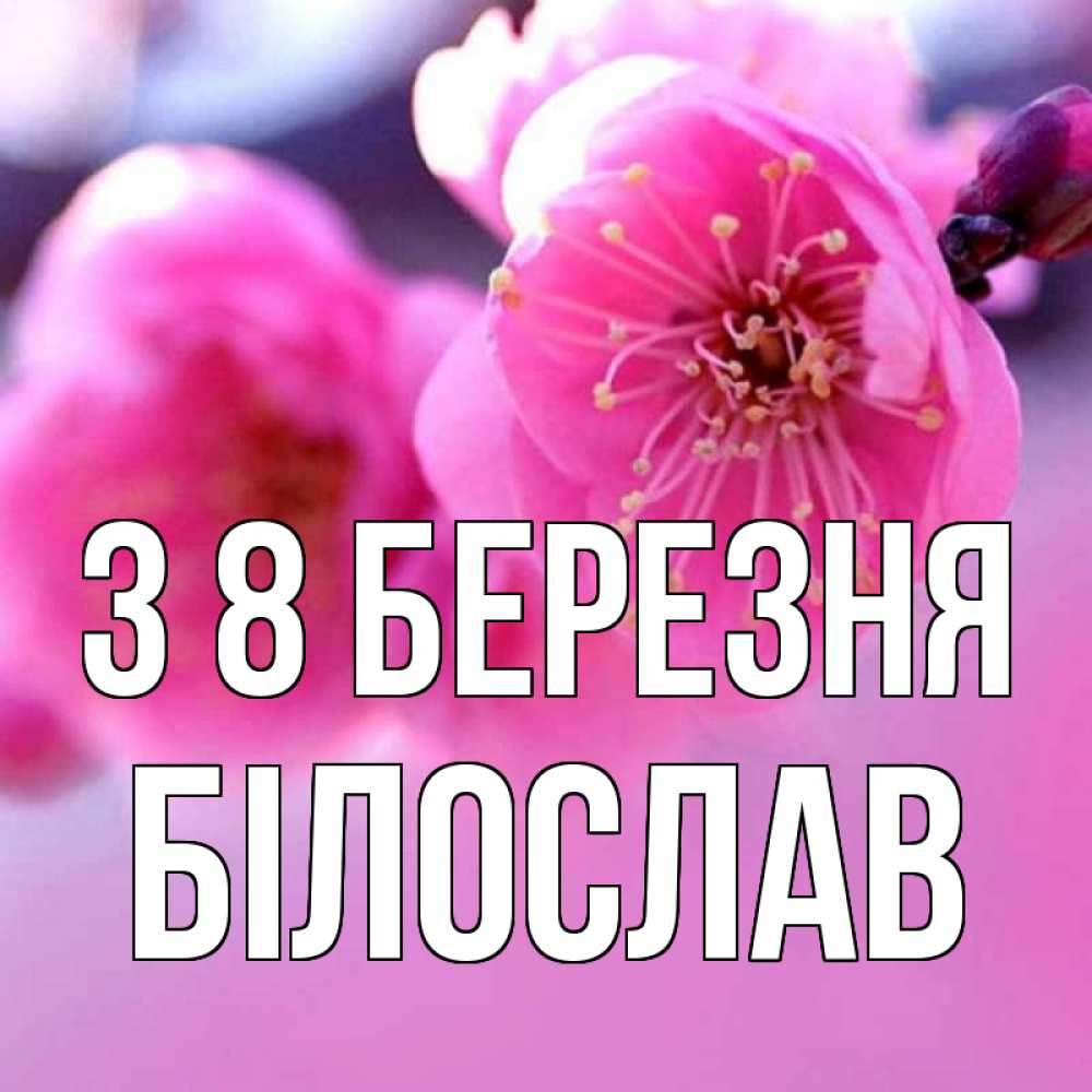 Открытка на каждый день з підписом, Білослав З 8 БЕРЕЗНЯ международный женский день Прикольна листівка з побажанням онлайн скачати безкоштовно 