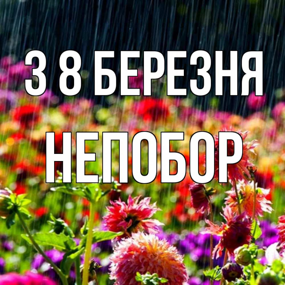 Открытка на каждый день з підписом, Непобор З 8 БЕРЕЗНЯ цветы под дождиком к международному женскому дню Прикольна листівка з побажанням онлайн скачати безкоштовно 