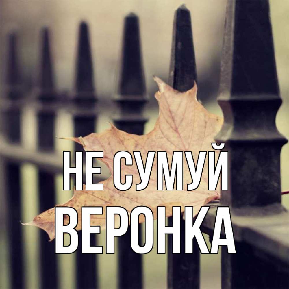 Открытка на каждый день з підписом, Веронка Не сумуй лист клена Прикольна листівка з побажанням онлайн скачати безкоштовно 