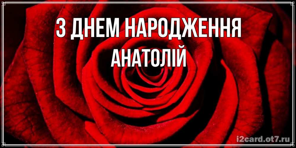 Открытка на каждый день з підписом, Анатолій З Днем народження алая роза Прикольна листівка з побажанням онлайн скачати безкоштовно 
