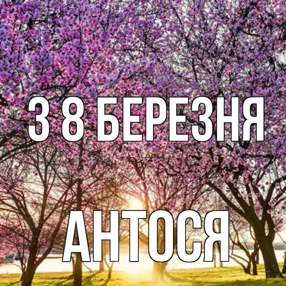 Открытка на каждый день з підписом, Антося З 8 БЕРЕЗНЯ международный женский день Прикольна листівка з побажанням онлайн скачати безкоштовно 