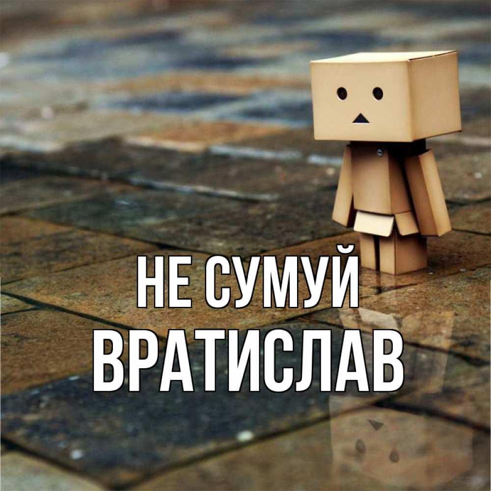 Открытка на каждый день з підписом, Вратислав Не сумуй Стив Прикольна листівка з побажанням онлайн скачати безкоштовно 
