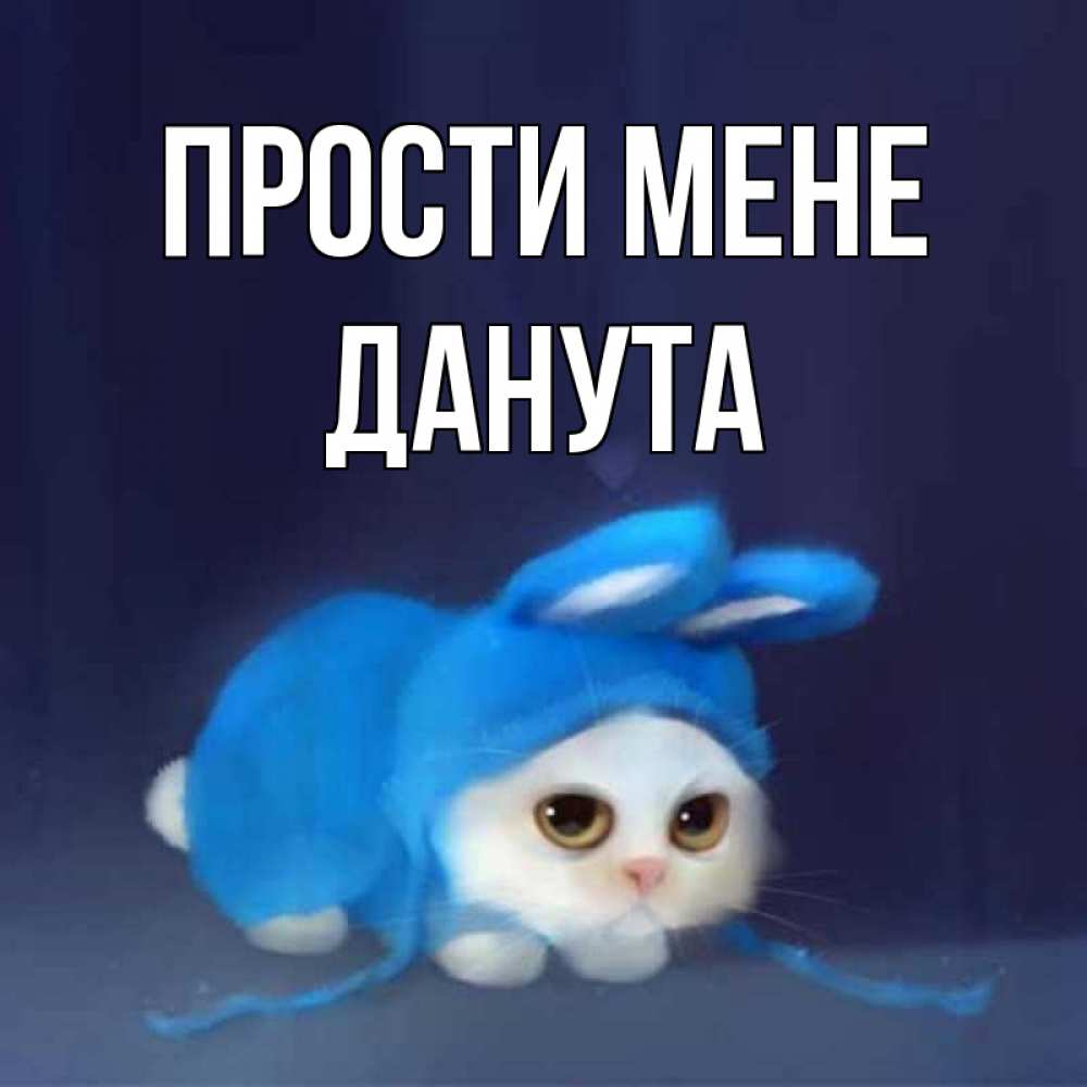 Открытка на каждый день з підписом, Данута Прости мене невинный котозай просит прощения Прикольна листівка з побажанням онлайн скачати безкоштовно 