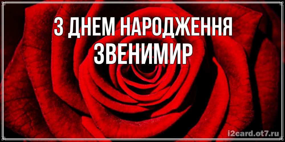 Открытка на каждый день з підписом, Звенимир З Днем народження алая роза Прикольна листівка з побажанням онлайн скачати безкоштовно 