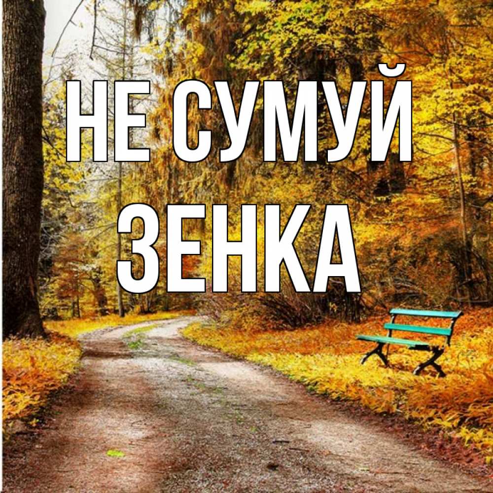 Открытка на каждый день з підписом, Зенка Не сумуй зеленая лавочка Прикольна листівка з побажанням онлайн скачати безкоштовно 