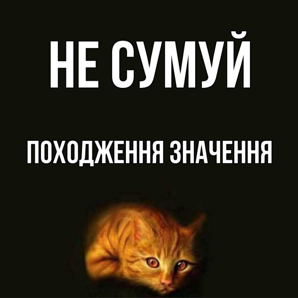 Открытка на каждый день з підписом, Походження,-значення Не сумуй лежащий кот в темноте Прикольна листівка з побажанням онлайн скачати безкоштовно 