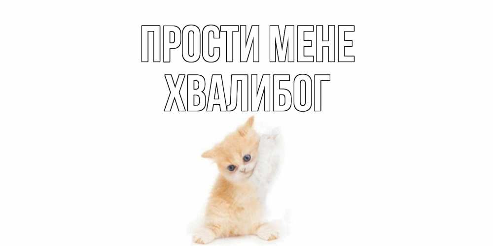 Открытка на каждый день з підписом, Хвалибог Прости мене кот Прикольна листівка з побажанням онлайн скачати безкоштовно 