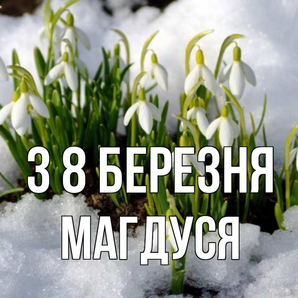 Открытка на каждый день з підписом, Магдуся З 8 БЕРЕЗНЯ цветы весенние Прикольна листівка з побажанням онлайн скачати безкоштовно 