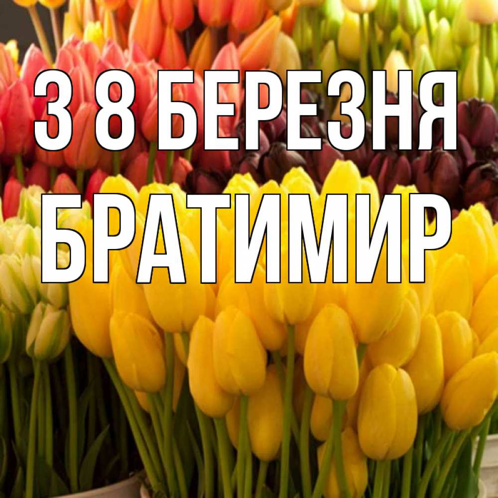 Открытка на каждый день з підписом, Братимир З 8 БЕРЕЗНЯ цветы Прикольна листівка з побажанням онлайн скачати безкоштовно 