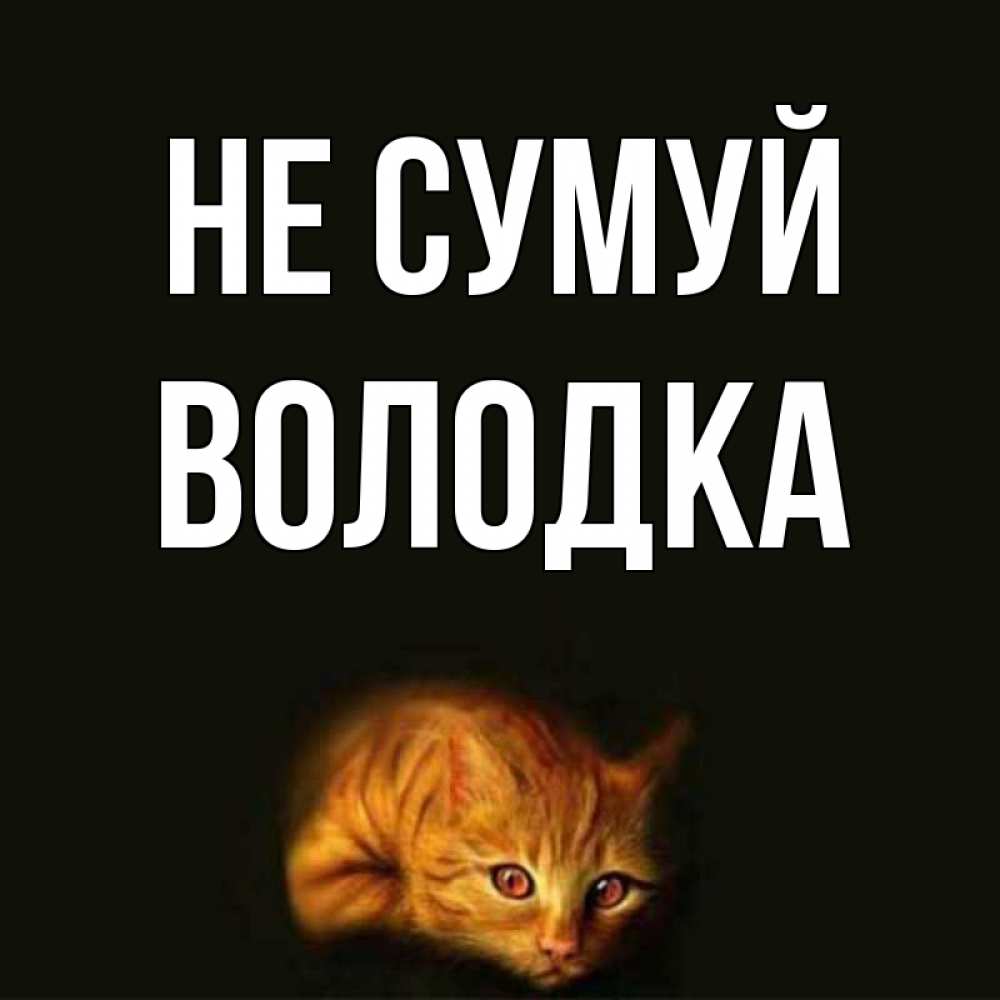 Открытка на каждый день з підписом, Володка Не сумуй лежащий кот в темноте Прикольна листівка з побажанням онлайн скачати безкоштовно 