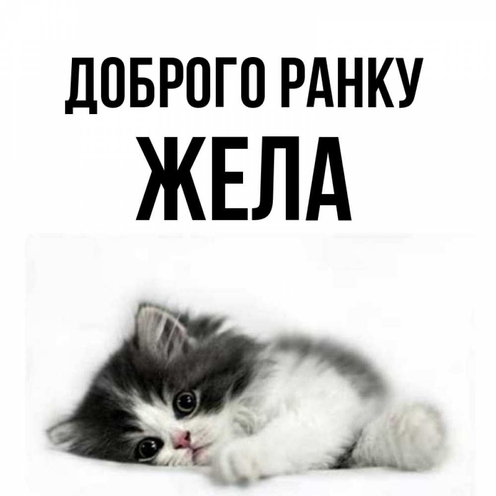 Открытка на каждый день з підписом, Жела Доброго ранку кот лапки Прикольна листівка з побажанням онлайн скачати безкоштовно 