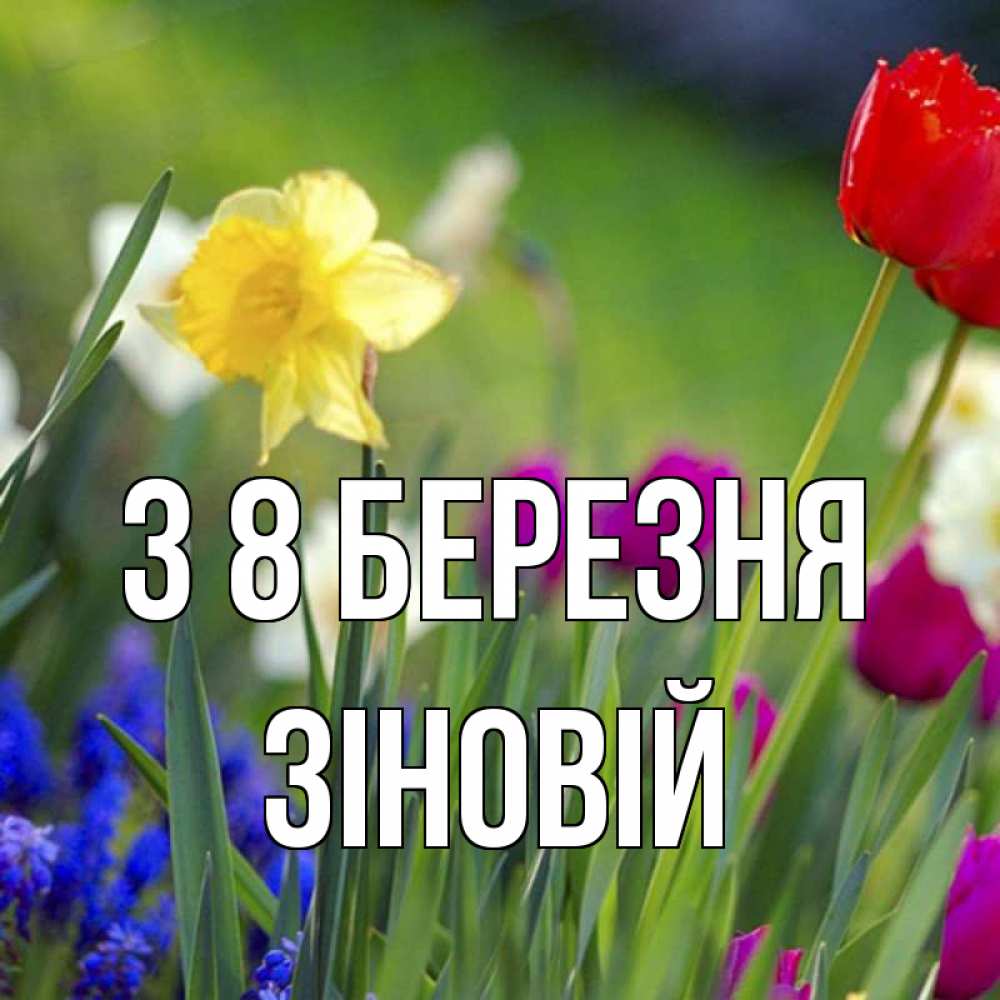 Открытка на каждый день з підписом, Зіновій З 8 БЕРЕЗНЯ международный женский день 3 Прикольна листівка з побажанням онлайн скачати безкоштовно 
