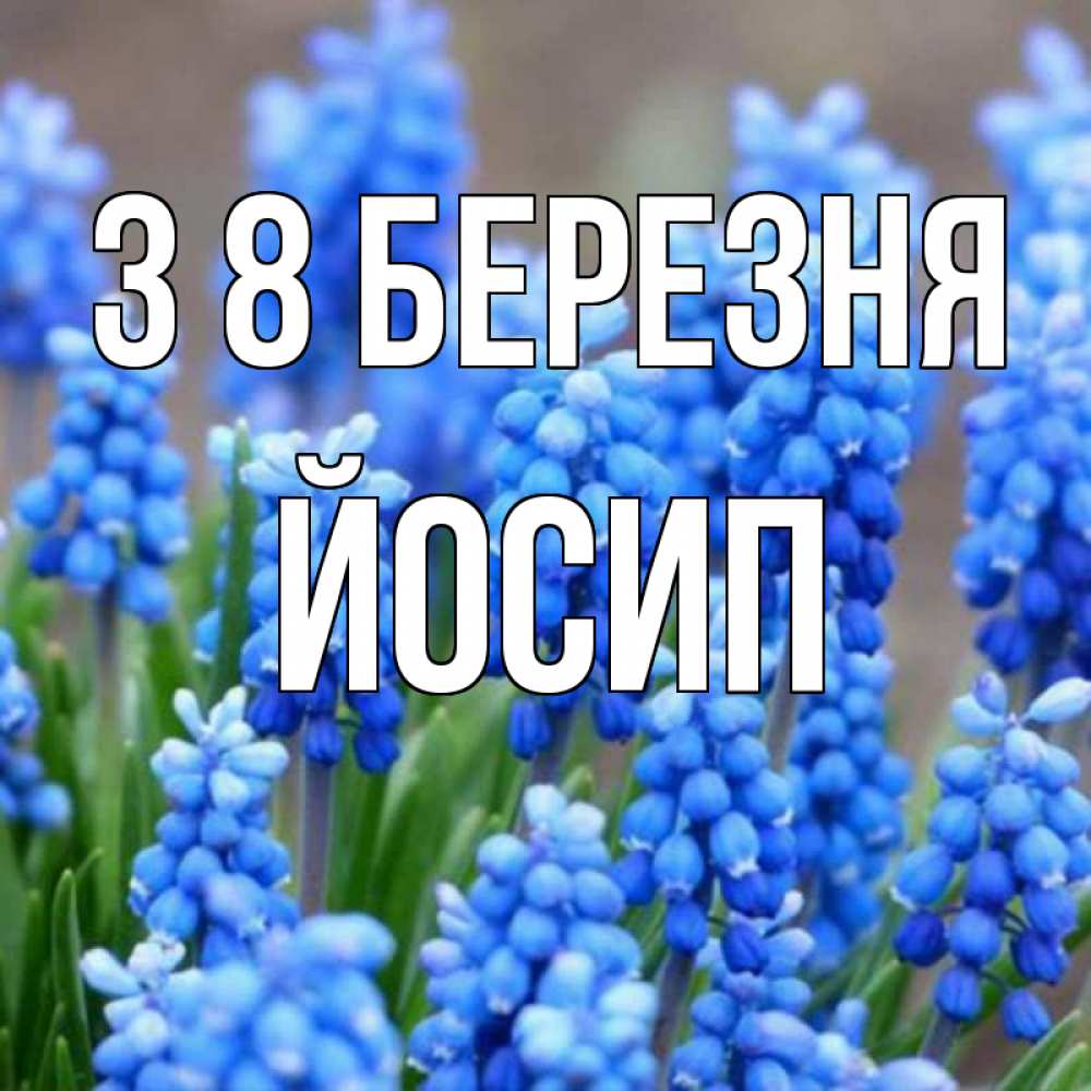 Открытка на каждый день з підписом, Йосип З 8 БЕРЕЗНЯ Поздравительная открытка для женщин с цветами на праздничную дату Прикольна листівка з побажанням онлайн скачати безкоштовно 