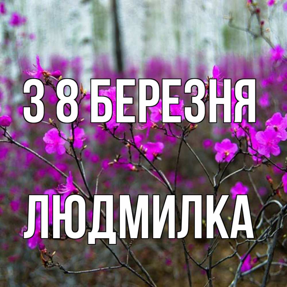 Открытка на каждый день з підписом, Людмилка З 8 БЕРЕЗНЯ дикие цветы Прикольна листівка з побажанням онлайн скачати безкоштовно 