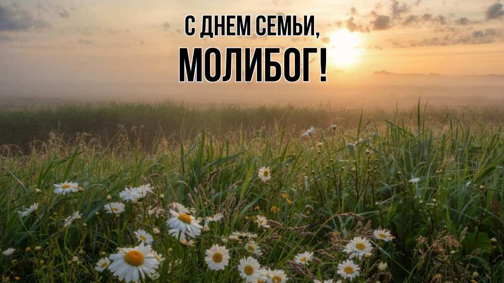 Открытка на каждый день з підписом, Молибог С днем семьи с днем семьи Прикольна листівка з побажанням онлайн скачати безкоштовно 