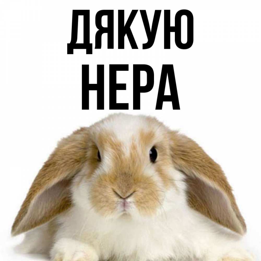 Открытка на каждый день з підписом, Нера Дякую коричнево белый заяц Прикольна листівка з побажанням онлайн скачати безкоштовно 