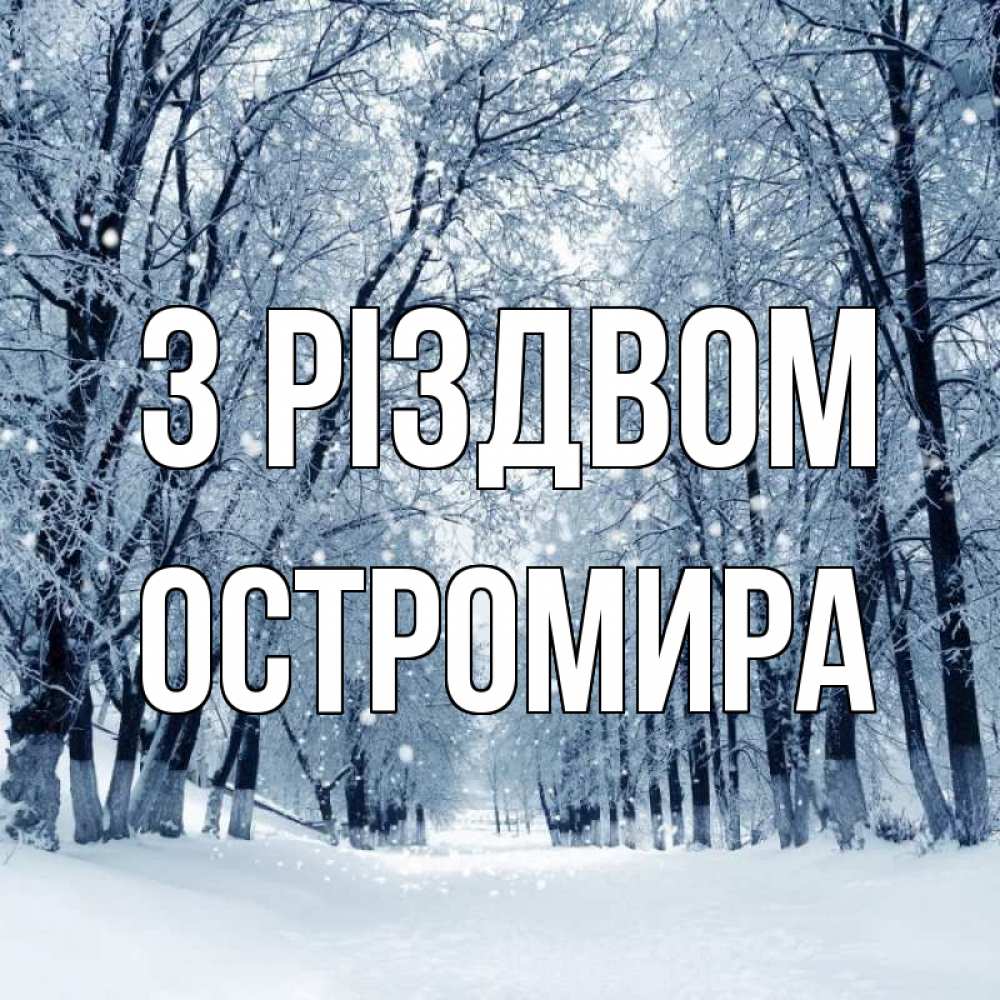 Открытка на каждый день з підписом, Остромира З Різдвом снег, лес, парк Прикольна листівка з побажанням онлайн скачати безкоштовно 