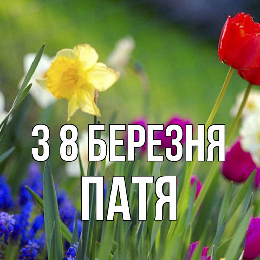 Открытка на каждый день з підписом, Патя З 8 БЕРЕЗНЯ международный женский день 3 Прикольна листівка з побажанням онлайн скачати безкоштовно 