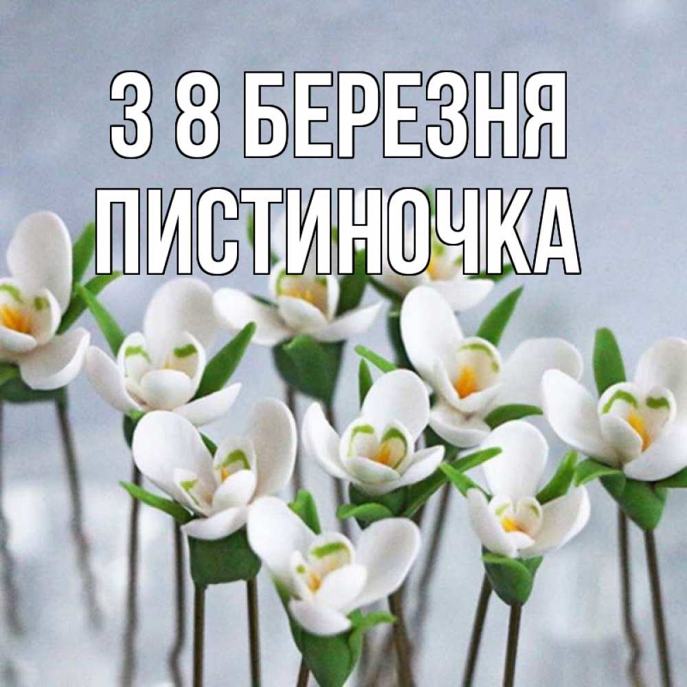 Открытка на каждый день з підписом, Пистиночка З 8 БЕРЕЗНЯ весенние цветы Прикольна листівка з побажанням онлайн скачати безкоштовно 