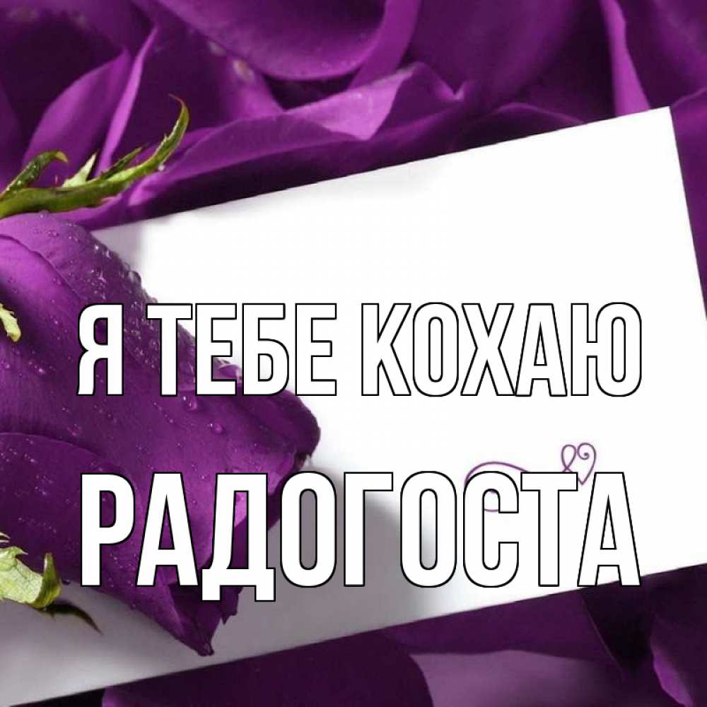 Открытка на каждый день з підписом, Радогоста Я тебе кохаю роза Прикольна листівка з побажанням онлайн скачати безкоштовно 