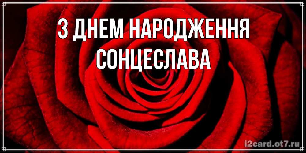 Открытка на каждый день з підписом, Сонцеслава З Днем народження алая роза Прикольна листівка з побажанням онлайн скачати безкоштовно 